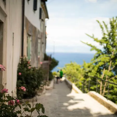 Moscenice מושצ'ניצה