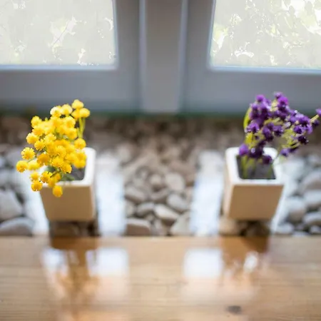 Moscenice מושצ'ניצה